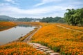 Chongqing Banan flowers world garden lakeside flowers in full bloom