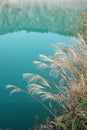 Natural Mine Park Lake with grass