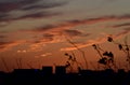 The Chongyang Festival is on Jingshan Hill to watch the sunset Royalty Free Stock Photo