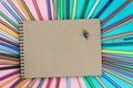 Chool notebook and various stationery. Back to school concept. Royalty Free Stock Photo