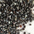 Ingredient: poppy seed, close picture.