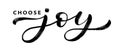 CHOOSE JOY text hand drawn brush calligraphy. Joy script calligraphy word. Vector illustration