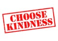 CHOOSE KINDNESS Royalty Free Stock Photo