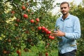 Choosing the best apples. Happy young man farmer stretching out hand to ripe apple and smiling while standing in the garden