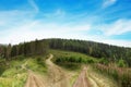 Choosing way. Picturesque landscape with different roads in mountains