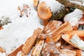 Chopped alder fire wood in snow