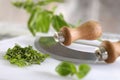 Chopped basil and chopper Royalty Free Stock Photo