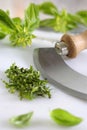 Chopped basil and chopper Royalty Free Stock Photo