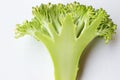 Chopped broccoli on a white background. Close up