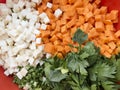 Chopped celery, parsnips, carrot and celery stalk Royalty Free Stock Photo