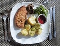 Chopped chicken cutlet, breaded in breadcrumbs from white bread with a side dish of young potatoes Royalty Free Stock Photo