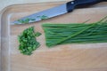 Chopped chives Royalty Free Stock Photo