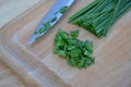 Chopped chives Royalty Free Stock Photo
