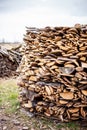 Chopped dry firewood prepared for winter lie exactly stacked one on one on the street. Background of logs, birch, pine and oak Royalty Free Stock Photo