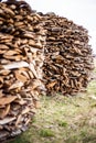 Chopped dry firewood prepared for winter lie exactly stacked one on one on the street. Background of logs, birch, pine and oak Royalty Free Stock Photo