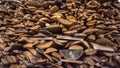 Chopped dry firewood prepared for the winter lying in a heap one on one on the street. Background of logs, birch, pine and oak. Royalty Free Stock Photo