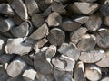 Chopped fire wood Royalty Free Stock Photo