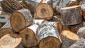 Chopped firewood birch logs on sunny day