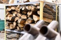 Chopped firewood for the coming winter, stacked in the workshop Royalty Free Stock Photo