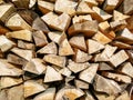 Chopped firewood drying in sun