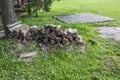 Chopped firewood stacked on grass near the tree Royalty Free Stock Photo