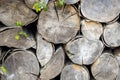 Chopped firewood is stacked in neat piles. Woodpile. Background. Close-up. Royalty Free Stock Photo