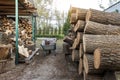 Chopped firewood storage under shed and oak wooden tree logs prepared for chopping and cutting at home backyard. Woodshed store at