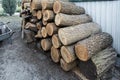 Chopped firewood storage under shed and oak wooden tree logs prepared for chopping and cutting at home backyard Royalty Free Stock Photo