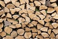 Chopped firewood storage under shed and oak wooden tree logs prepared for chopping and cutting at home backyard Royalty Free Stock Photo