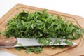 Chopped flat leaf parsley side view