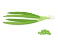 Chopped Fresh Green Onions