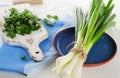 Chopped fresh green onions on a white wooden cutting board. Royalty Free Stock Photo