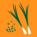 Chopped fresh green onions on yellow background, Vector illustration