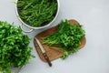 Chopped fresh green parsley and dill or fennel on cutting boar on gray wooden table. Top view. Copy space. Harvesting concept Royalty Free Stock Photo