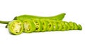 Chopped Green Chilli Peppers (Jalapeno) Royalty Free Stock Photo