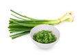 Chopped green onion in the white bowl with fresh green onion isolated on white Royalty Free Stock Photo