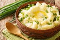 Chopped green onions, milk and a knob of Irish butter champ is a wonderfully delicious alternative to mashed spuds close up in the