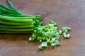 Chopped green onions on an old wooden chopping board Royalty Free Stock Photo