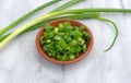 Chopped green onions in a small red clay bowl Royalty Free Stock Photo