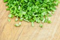 chopped green onions on a wooden chopping board Royalty Free Stock Photo