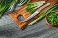 Chopped green spring scallions kitchen knife wooden cutting board vintage wood background Royalty Free Stock Photo