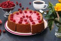 Chopped homemade raspberry cheesecake in portions on a plate, located on dark background, Closeup, Horizontal format