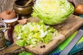 Chopped iceberg lettuce -ingridient for cooking