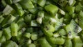 Chopped kiwi fruits isolated in a green background. Kiwi background abstract close up