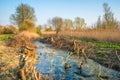 Chopped logs along a waterway on Wicken Fen