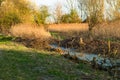 Chopped logs along a waterway on Wicken Fen Royalty Free Stock Photo