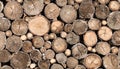 Chopped logs background Royalty Free Stock Photo