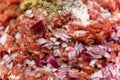 Chopped meat,cut onion,herb spice and salt. Royalty Free Stock Photo