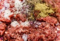 Chopped meat,cut onion,herb spice and salt.selective focus Royalty Free Stock Photo
