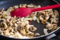 Chopped Mushrooms and Onions Sauteing